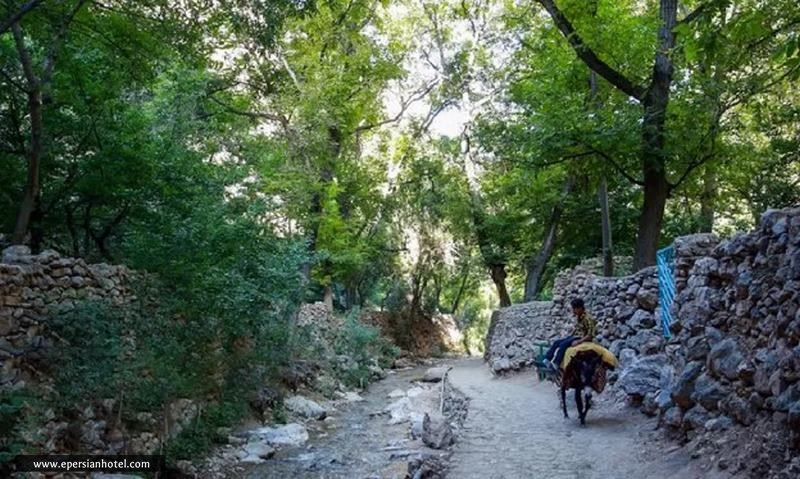 طبیعت روستای اخلمد 